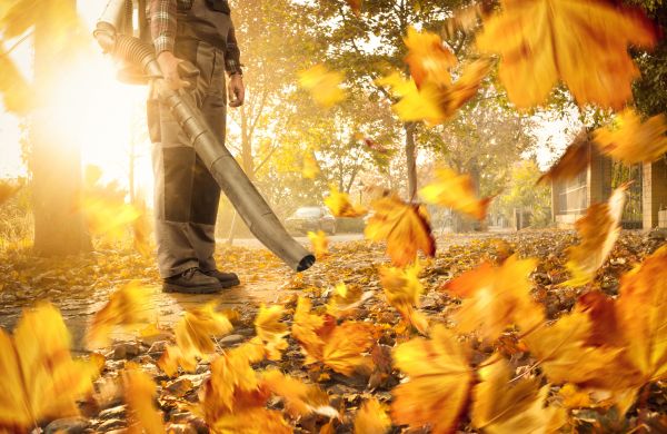 Cost of Leaf Blowing Service in Redmond