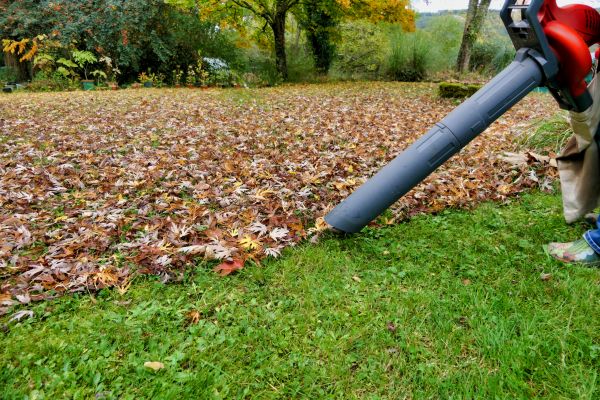 Cost of Leaf Vacuuming Service in Redmond