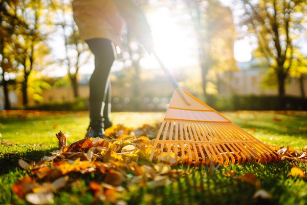 Cost of Leaves Raking in Redmond