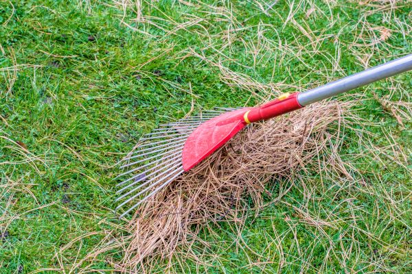 Cost of Yard Raking in Redmond