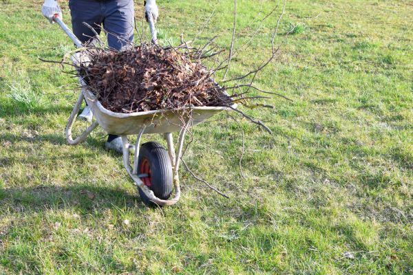 Cost of Yard Brush Removal in Redmond