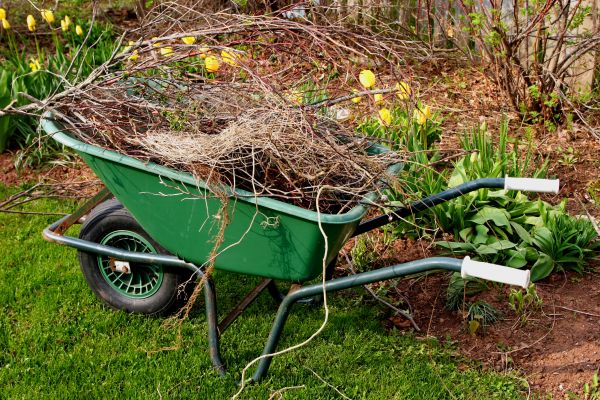 Cost of Lawn Waste Removal in Redmond