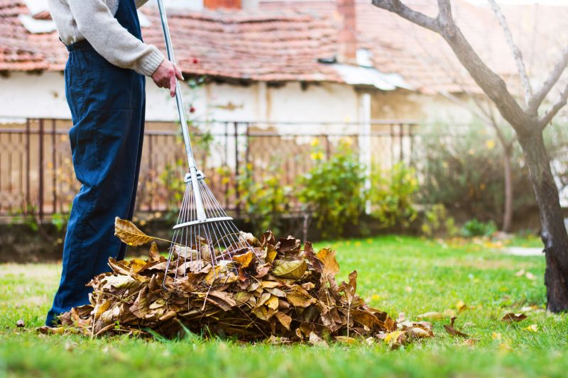 Fall Yard Cleanup Crew