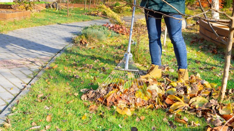 Leaf Raking Service detail